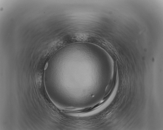 X0000061750697200512091636