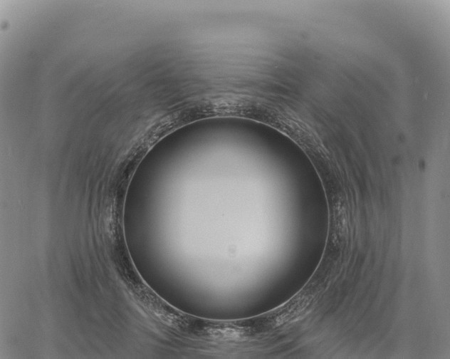 X0000061750698200512091636