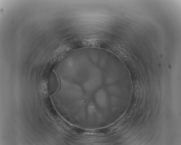 X0000061750699200512091636