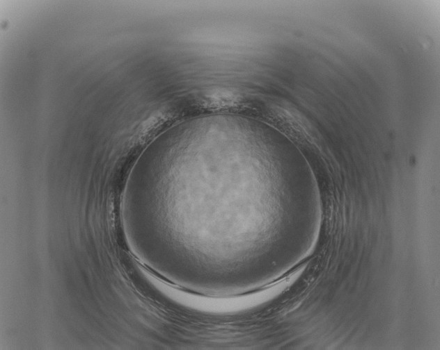 X0000061750700200512091636