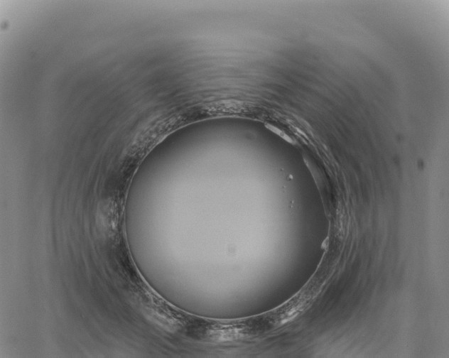 X0000061750701200512091636