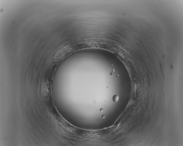 X0000061750702200512091636