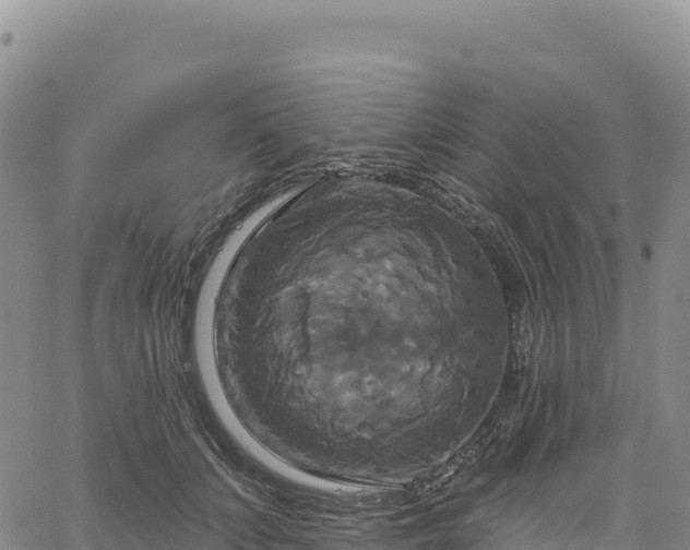 X0000061750703200512091636