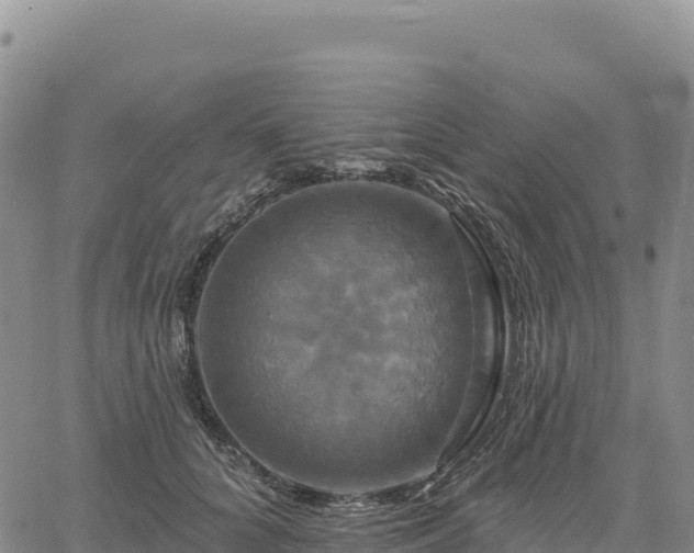 X0000061750704200512091636