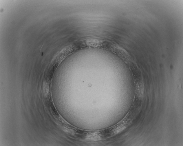 X0000061750705200512091636