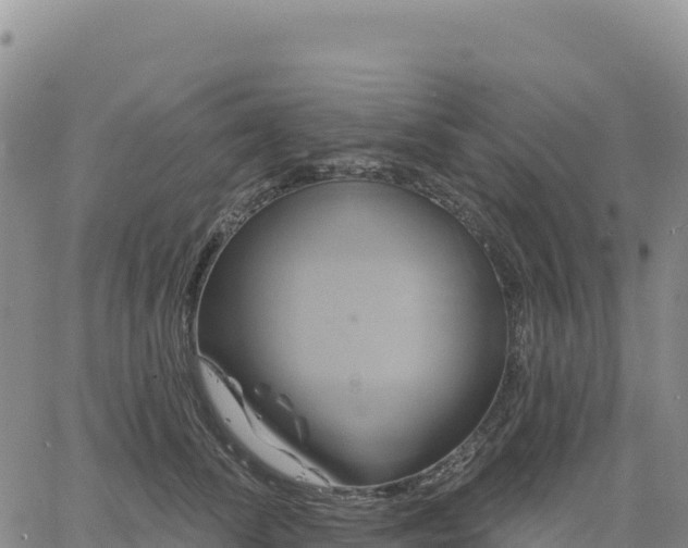 X0000061750708200512091636