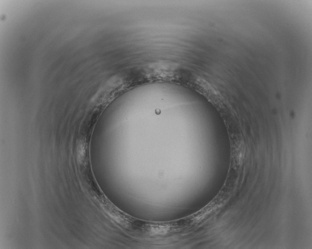 X0000061750709200512091636