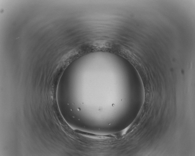 X0000061750710200512091636