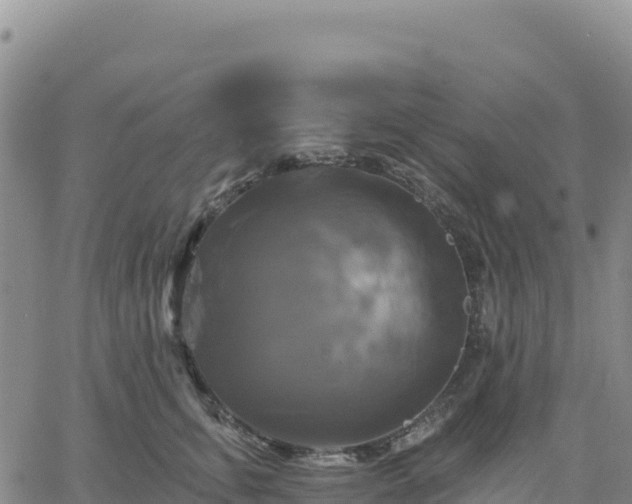 X0000061750711200512091636