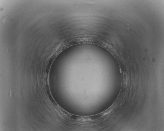 X0000061750712200512091636