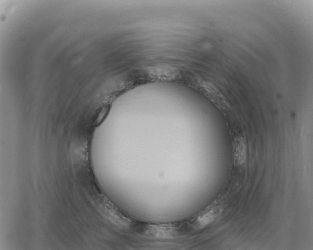 X0000061750713200512091636