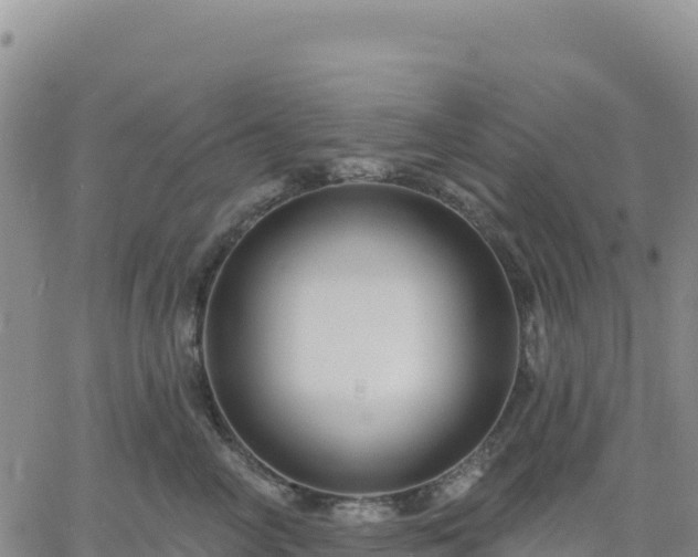 X0000061750714200512091636