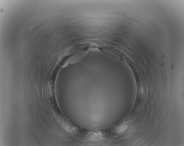 X0000061750715200512091636