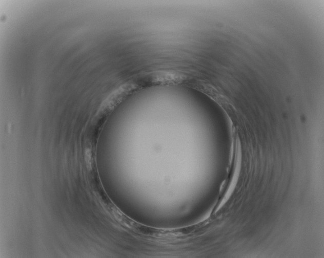 X0000061750716200512091636