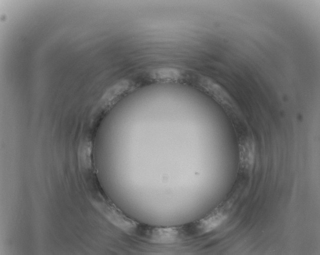 X0000061750717200512091636