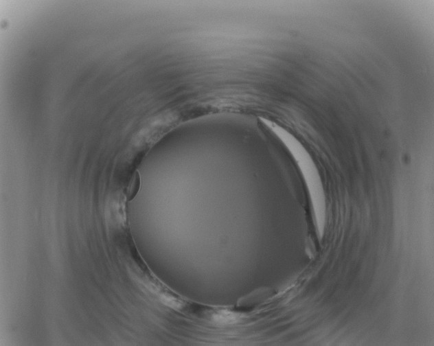 X0000061750718200512091636