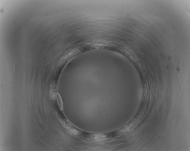 X0000061750719200512091636