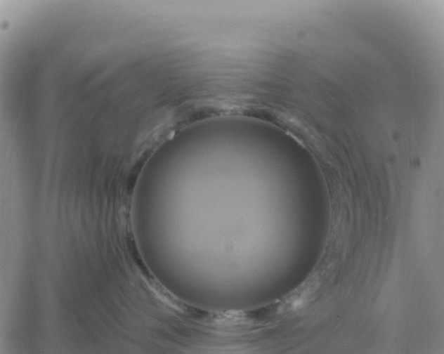 X0000061750720200512091636