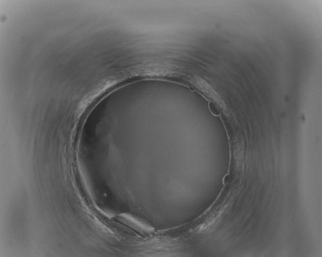 X0000061750721200512091635