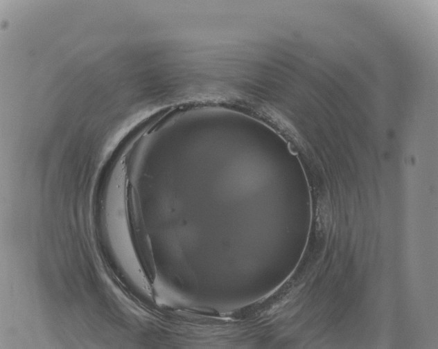 X0000061750722200512091635