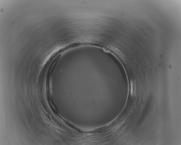 X0000061750723200512091635