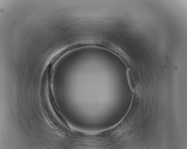 X0000061750724200512091635