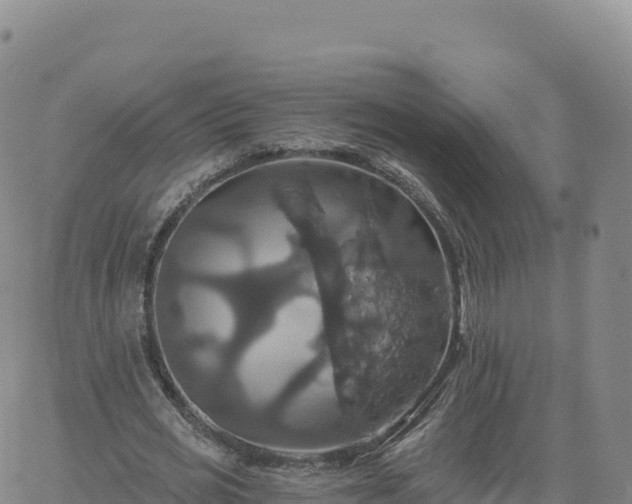 X0000061750725200512091635