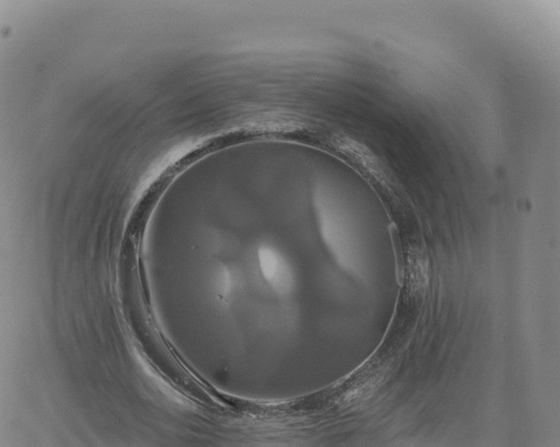 X0000061750726200512091635