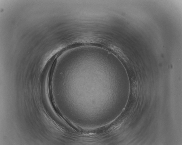 X0000061750727200512091635