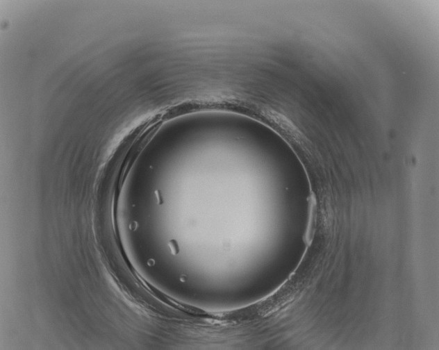 X0000061750728200512091635