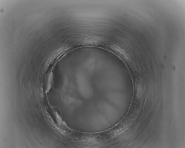 X0000061750729200512091635