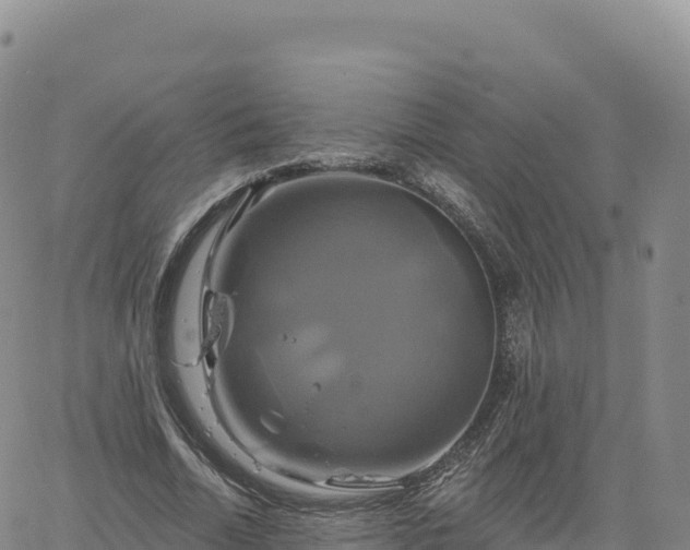 X0000061750730200512091635