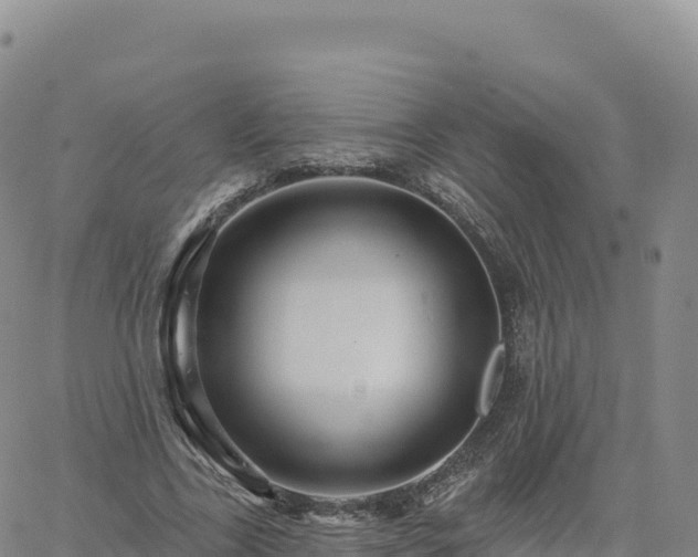 X0000061750731200512091635