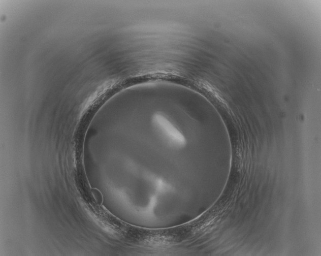 X0000061750734200512091635