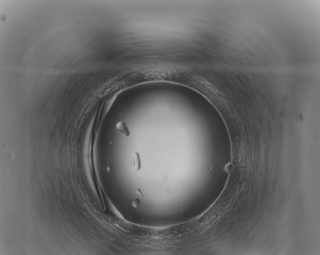 X0000061750737200512091635