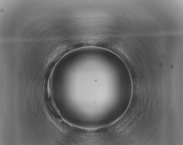 X0000061750738200512091635