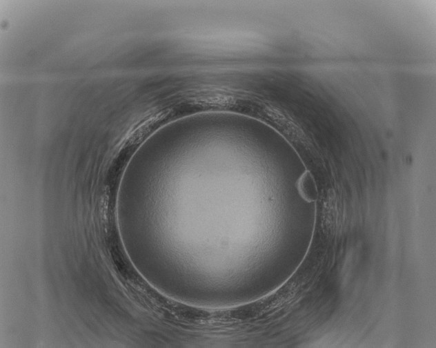 X0000061750739200512091635