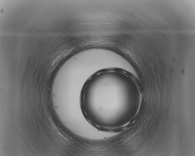 X0000061750740200512091635