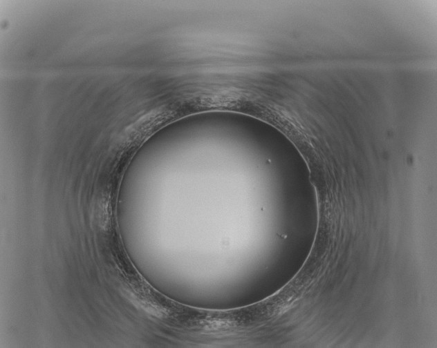 X0000061750741200512091635