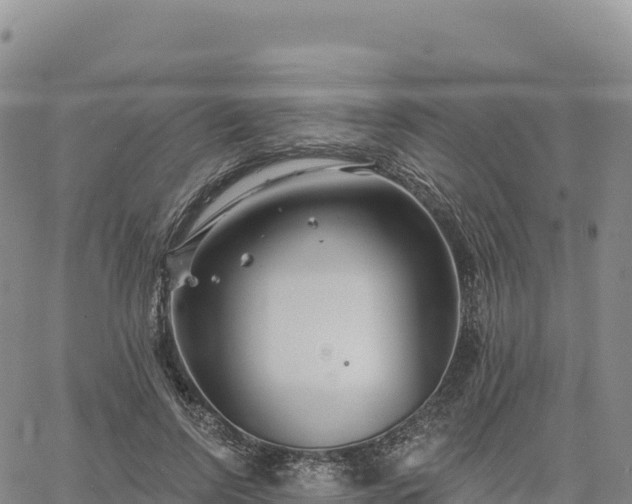 X0000061750742200512091635