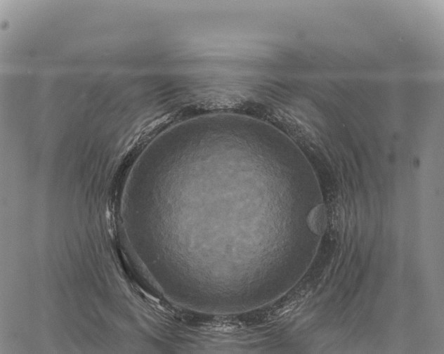 X0000061750743200512091635