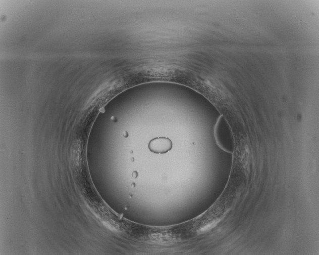 X0000061750744200512091635