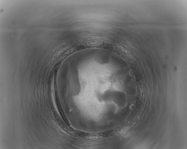 X0000061750745200512091635