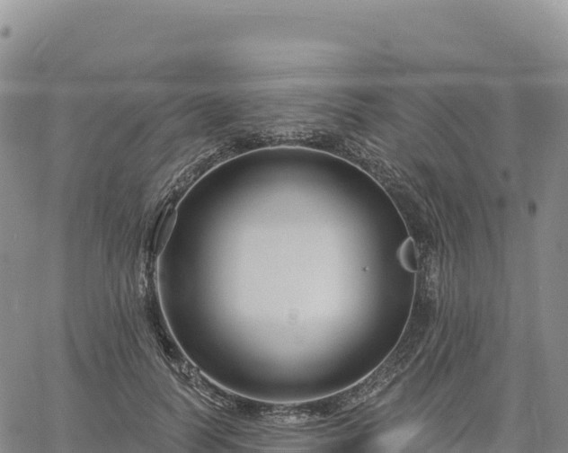 X0000061750746200512091635