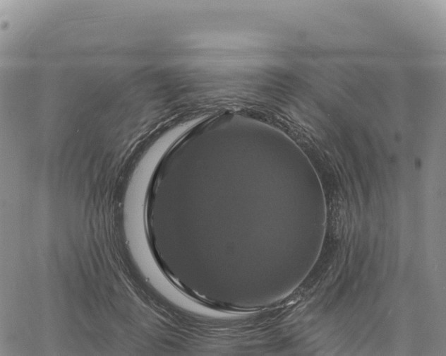 X0000061750747200512091635