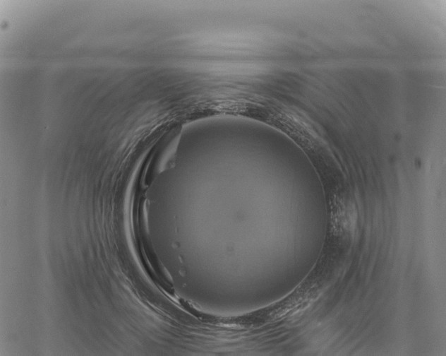 X0000061750748200512091635