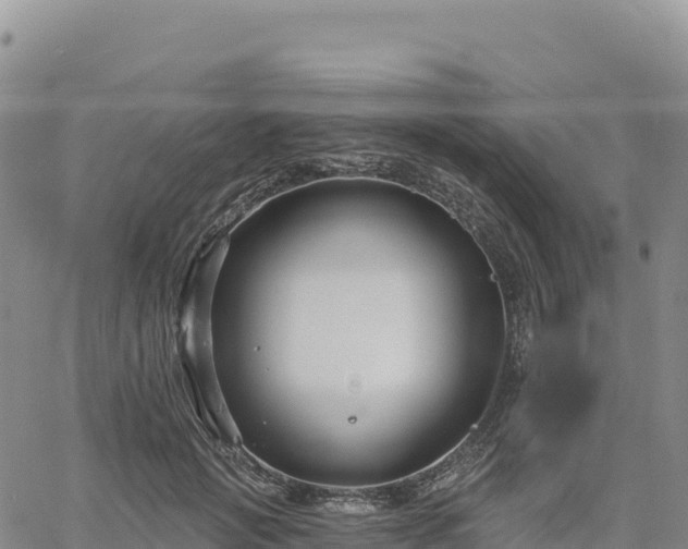 X0000061750749200512091635