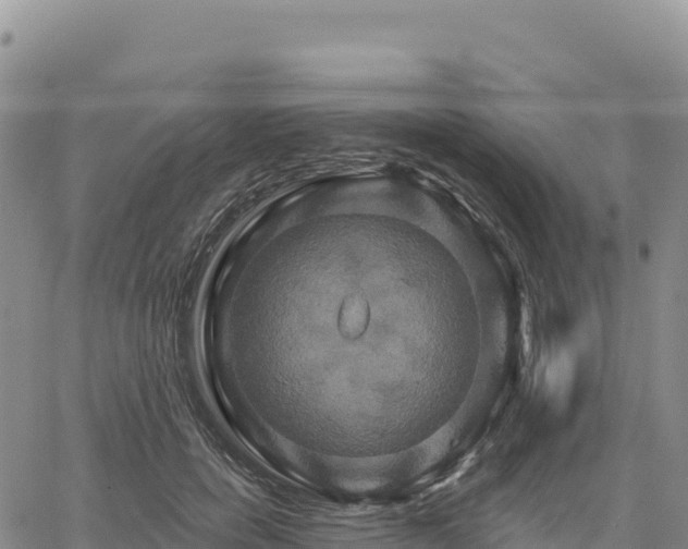 X0000061750750200512091635