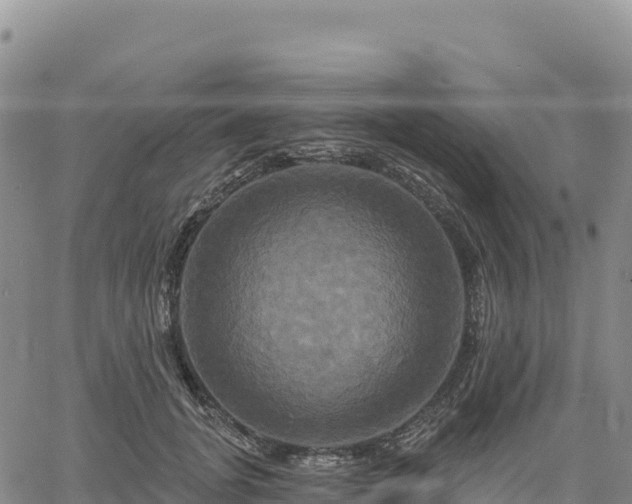 X0000061750751200512091635