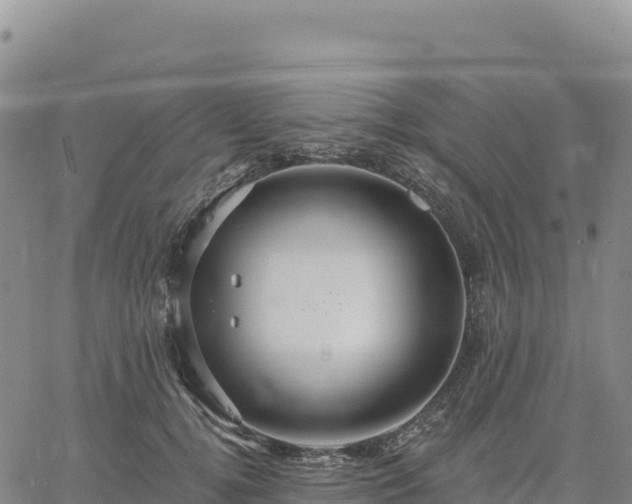 X0000061750752200512091635